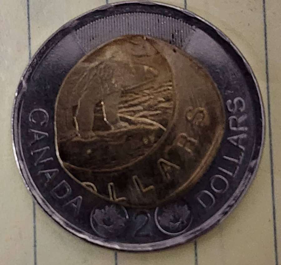 PMD-Or-Actual-Error-Twoonie?